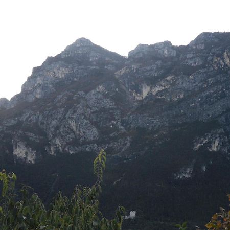 Villa In The Green In Riva Del Garda Wohnung Eksteriør billede