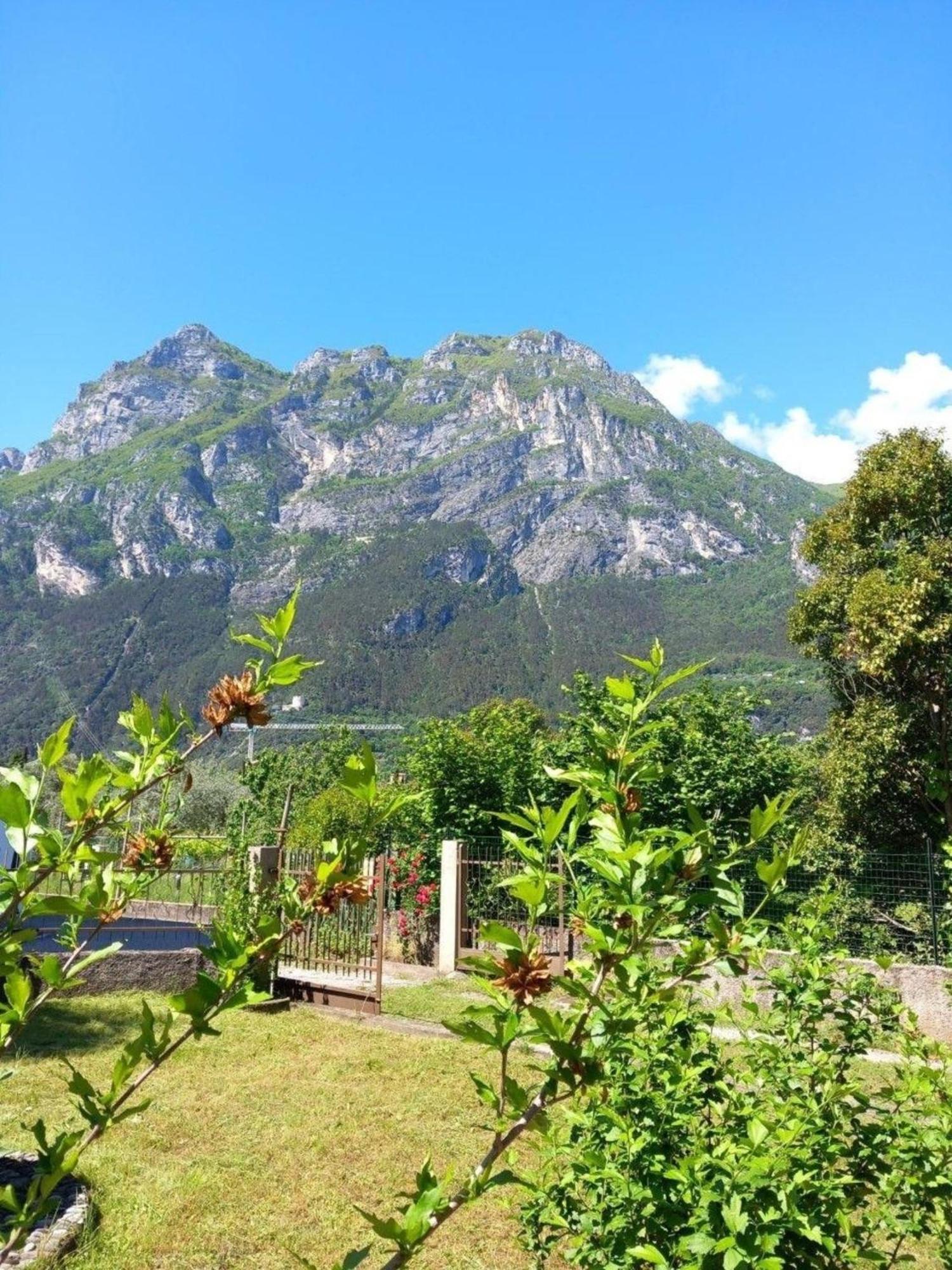 Villa In The Green In Riva Del Garda Wohnung Eksteriør billede